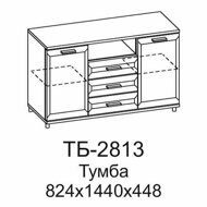 ТБ-2813