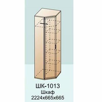 ШК-1013 шкаф для одежды и белья