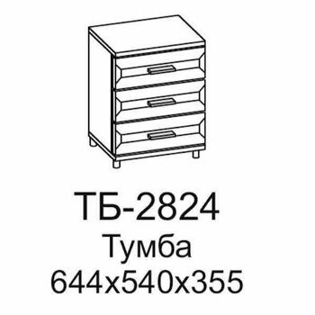 ТБ-2824